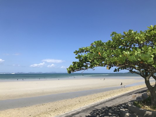 沖縄移住について