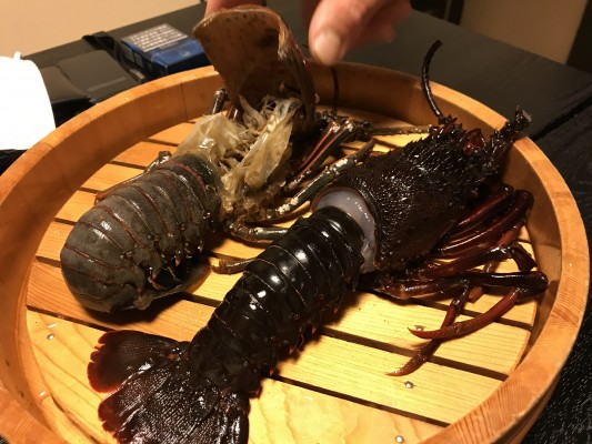 幻の伊勢海老と呼ばれている「脱皮伊勢海老」