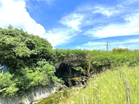 琉球石灰岩の自然の橋