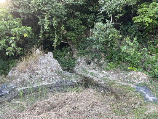 沖縄の稲作発祥の地