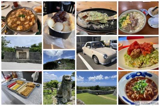 その後の沖縄移住生活（半年～１年後）