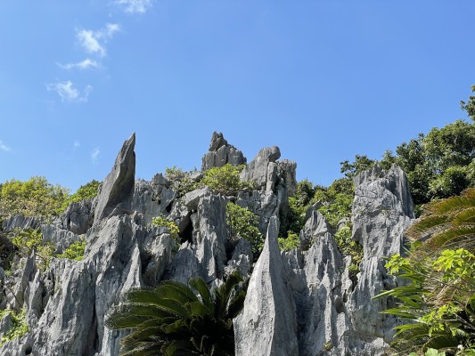世界最北端の熱帯カルスト