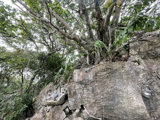 琉球開闢七御嶽の一つの山全体が聖域の御嶽