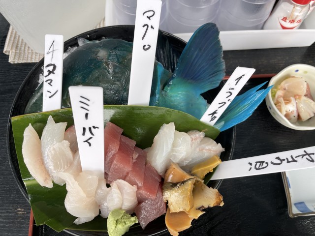 電灯潜り漁の魚を食べられるお店