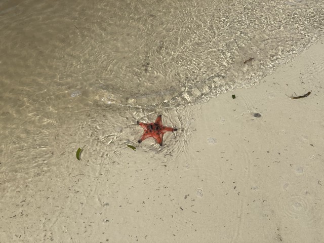 フーコック島のヒトデのビーチ