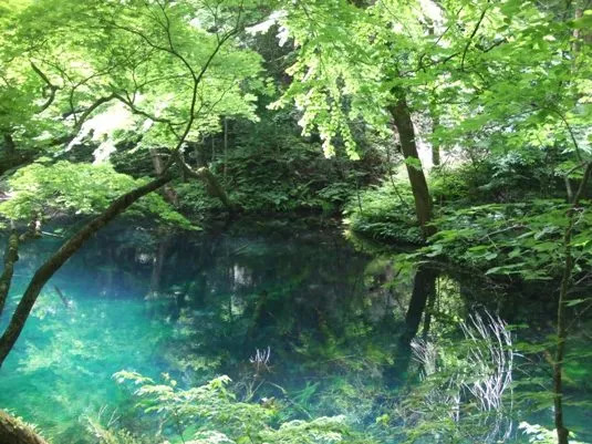 日本全国きまぐれゴルフ旅（東北地方）