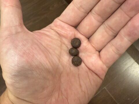 インドで「悪魔の排泄物」と呼ばれる口直しのタブレット