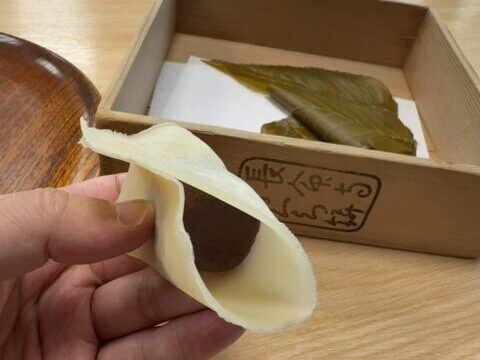 桜餅のルーツをたどって、関東の長命寺と関西の道明寺を食べ比べてみた